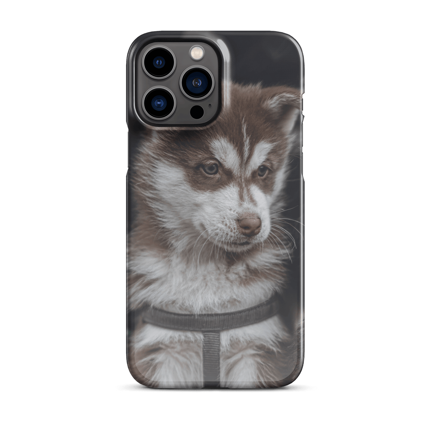 Custom iPhone case featuring a cute brown and white puppy, perfect for animal lovers and pet owners.