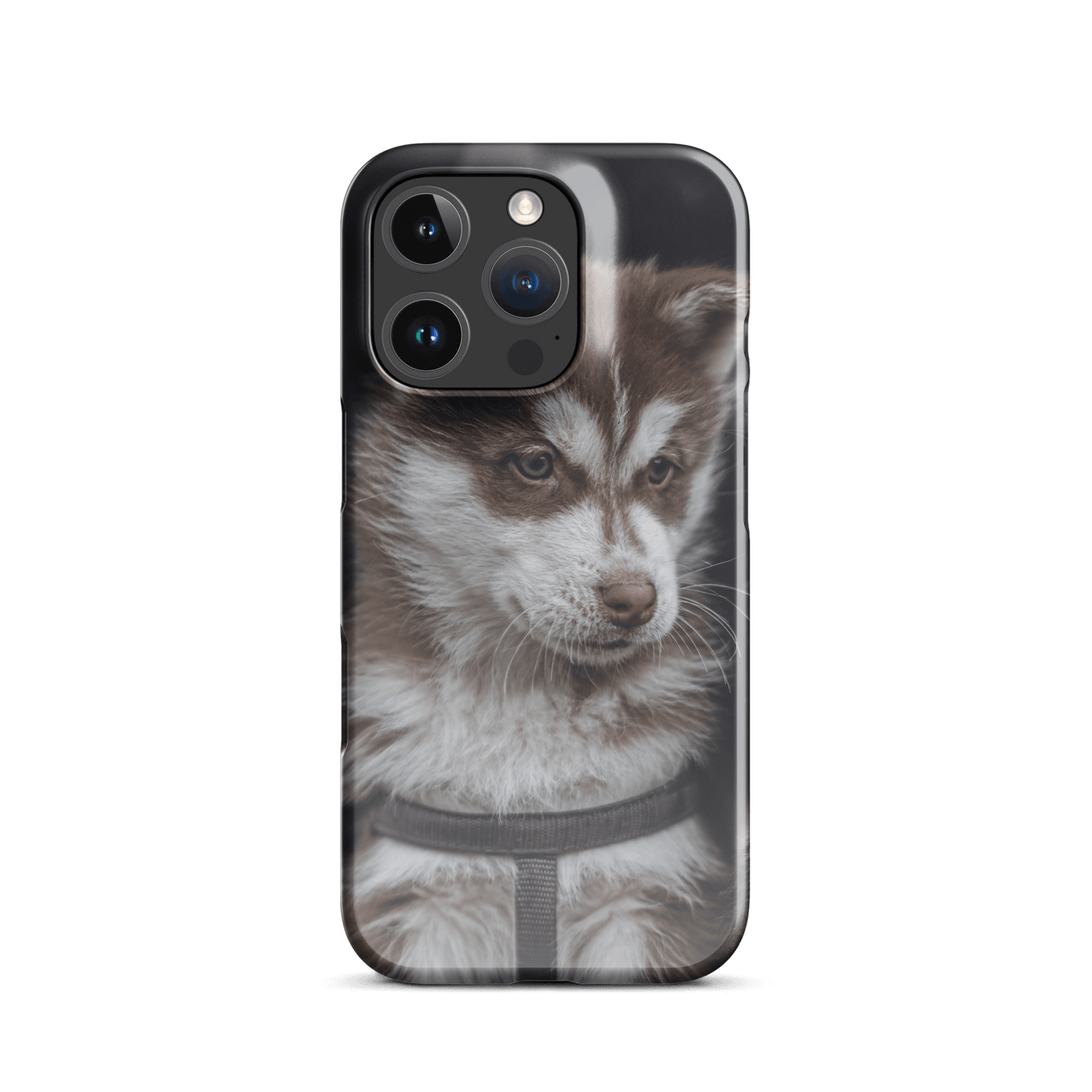 Custom iPhone case featuring a sweet brown and white puppy, perfect for pet lovers.