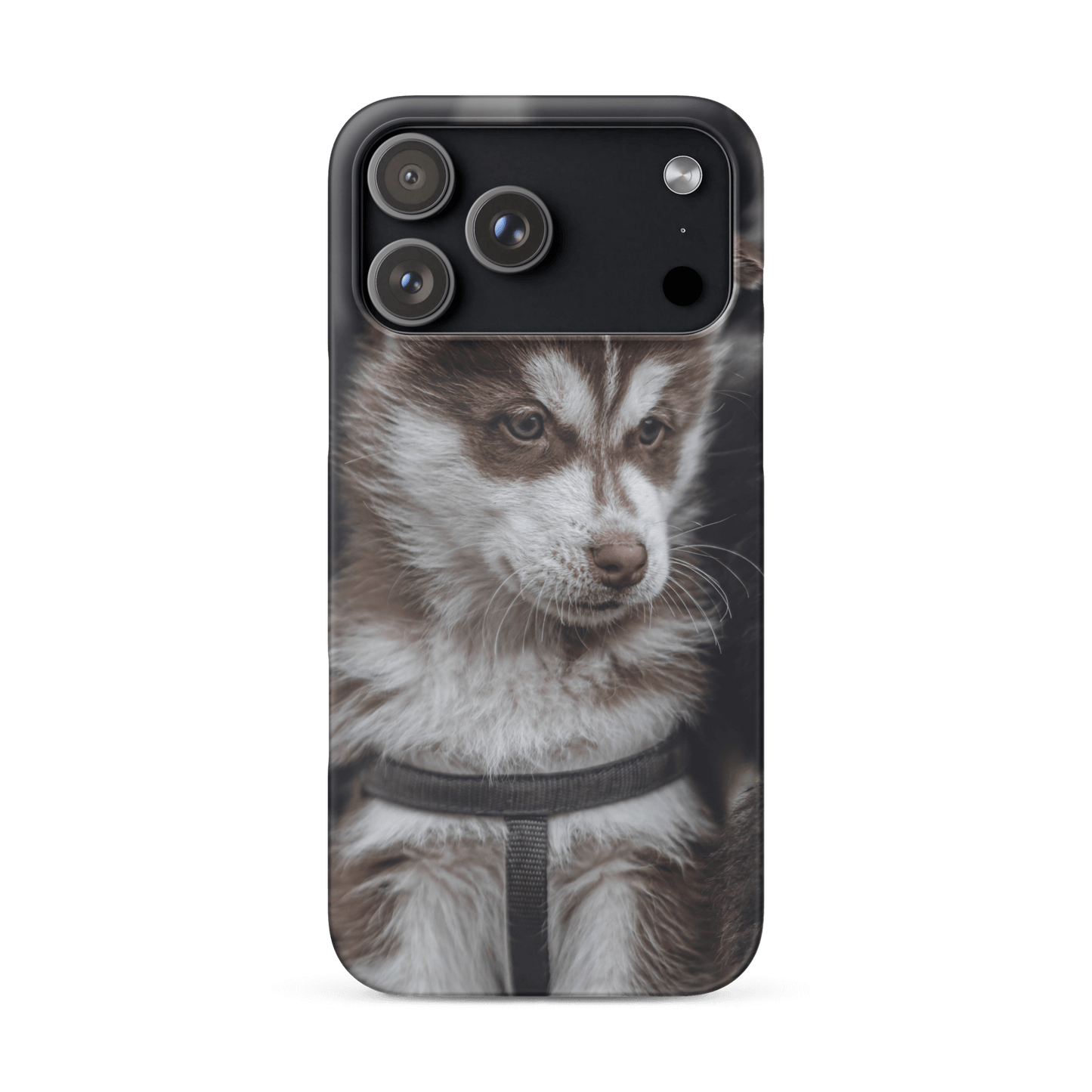 Custom iPhone Case with Your Pics: Snap Your Style featuring a cute pet image.