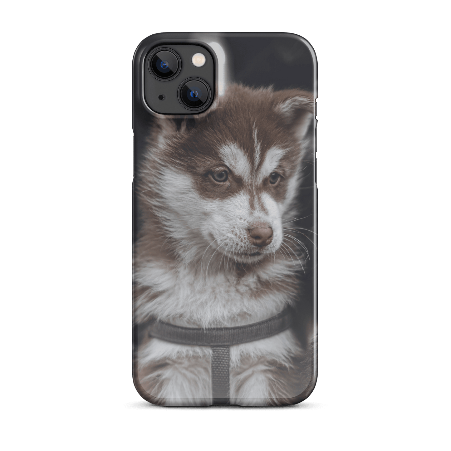 Custom iPhone case featuring an adorable brown and white puppy gazing curiously.