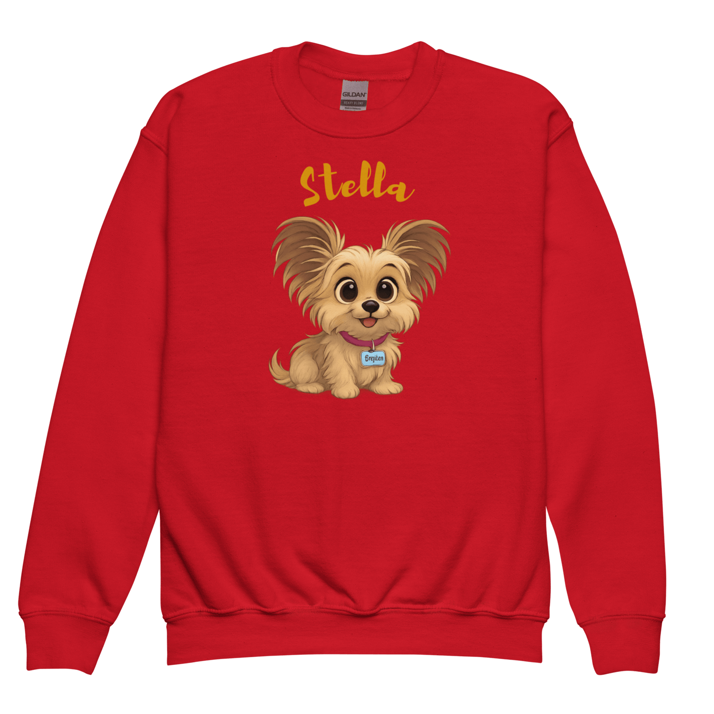 Cartoon Pet Sweatshirt for Kids – Custom Gift for All Seasons featuring a cute cartoon dog named Stella.