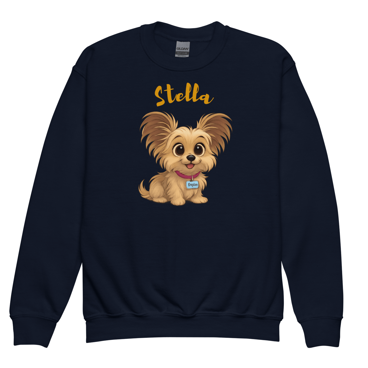 Cartoon Pet Sweatshirt for Kids – Custom Gift for All Seasons featuring a cute cartoon dog named Stella.