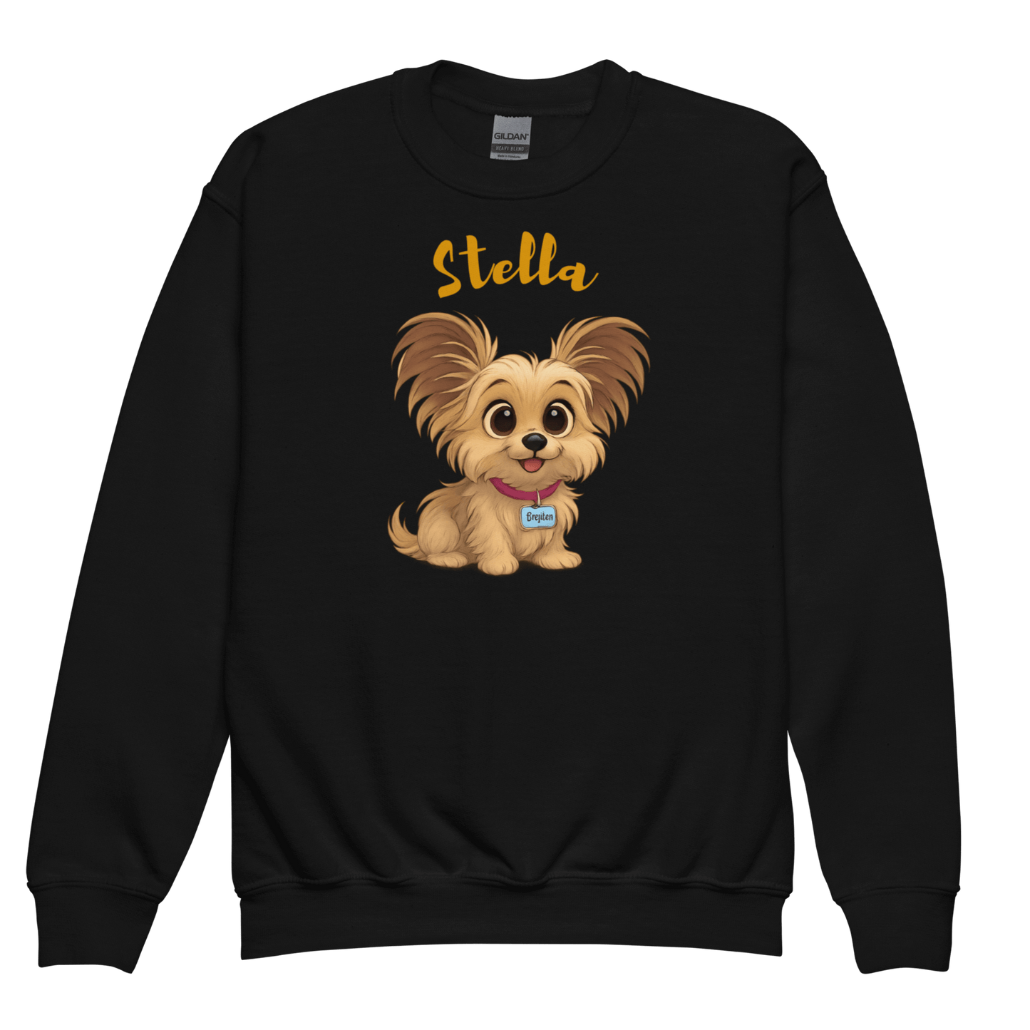 Cartoon Pet Sweatshirt for Kids – Custom Gift for All Seasons featuring a cute cartoon dog named Stella.