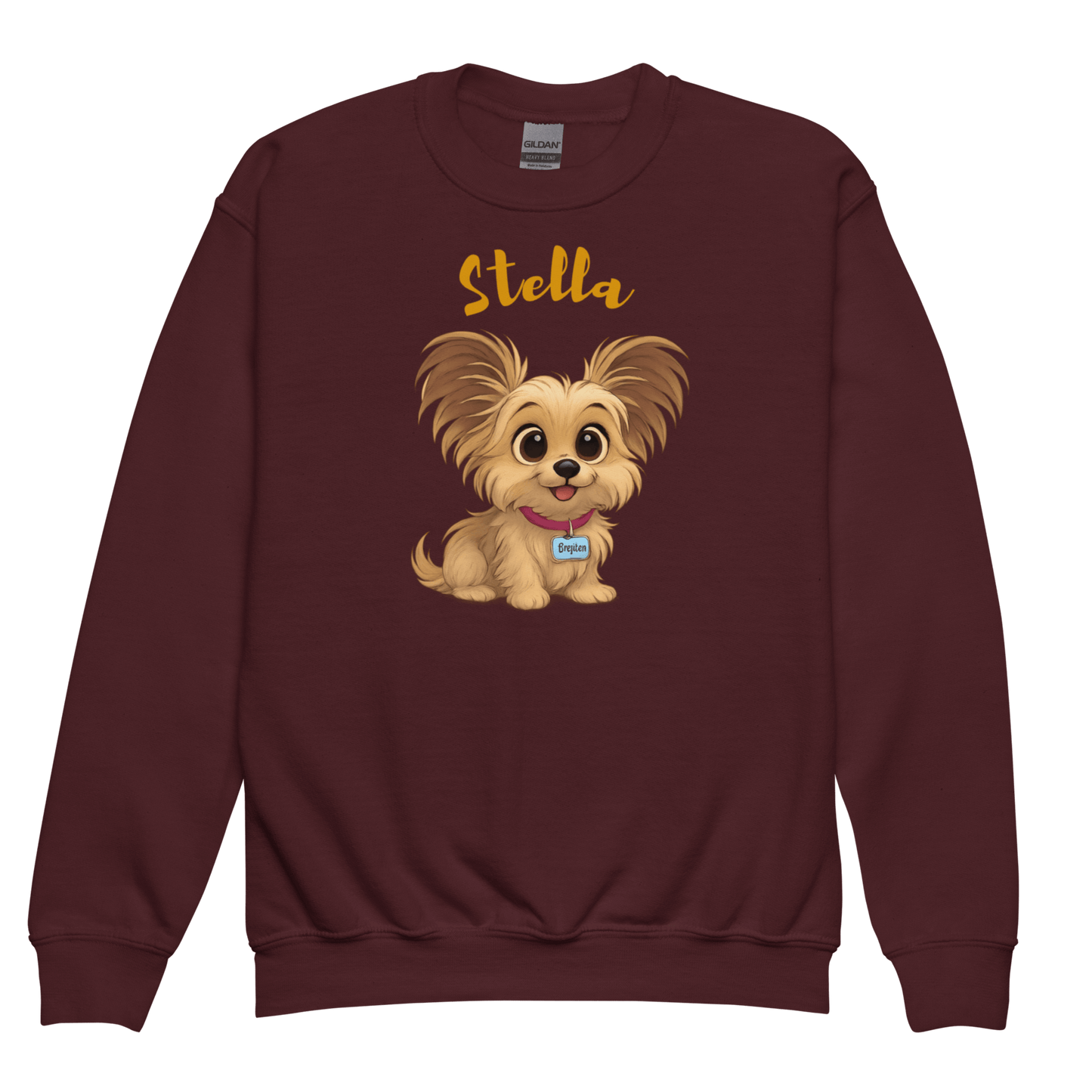 Cartoon Pet Sweatshirt for Kids – Custom Gift for All Seasons featuring a cute illustration of a dog named Stella.