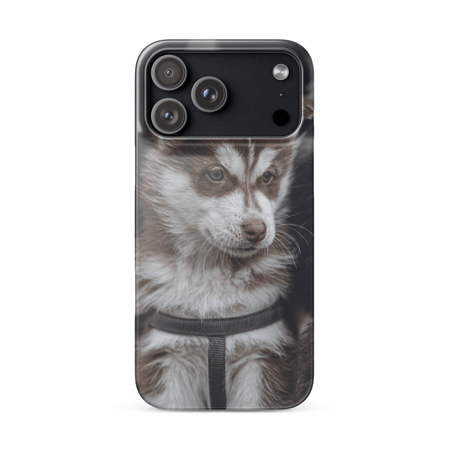 Custom iPhone Case with Your Pics: Snap Your Style featuring a cute dog design.