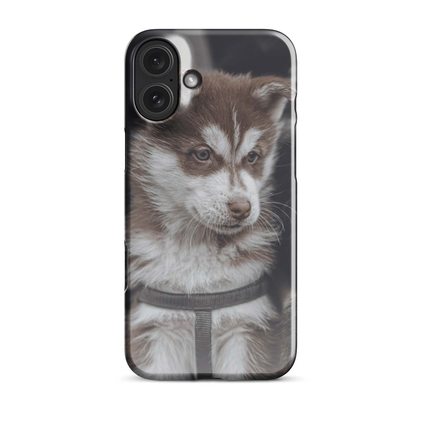 Custom iPhone Case with Your Pics: Snap Your Style featuring a cute dog portrait.