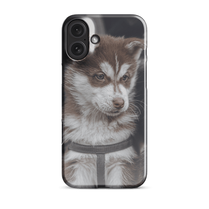 Custom iPhone Case with Your Pics: Snap Your Style featuring a cute dog portrait.