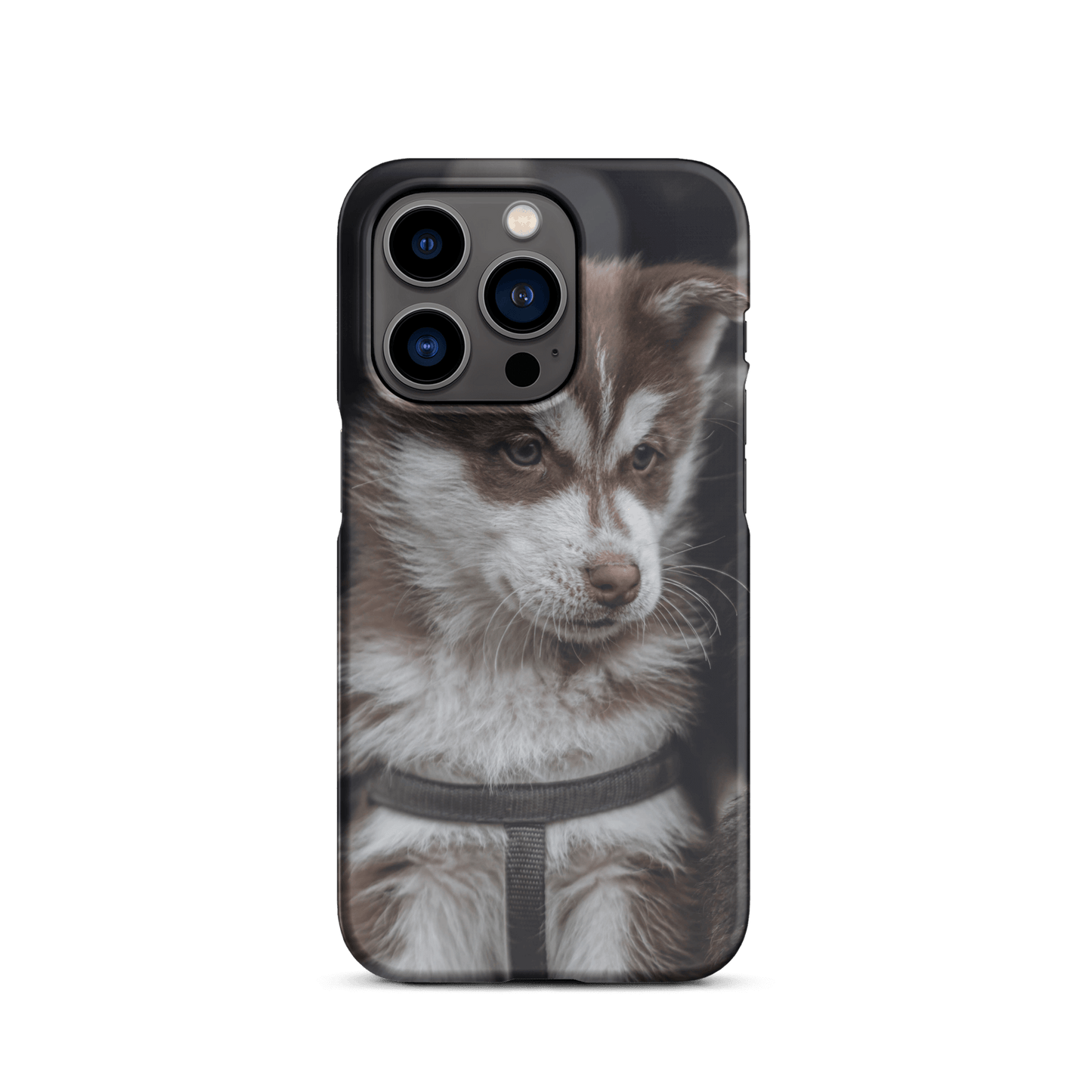 Custom iPhone Case with Your Pics: Snap Your Style featuring a cute dog photograph.
