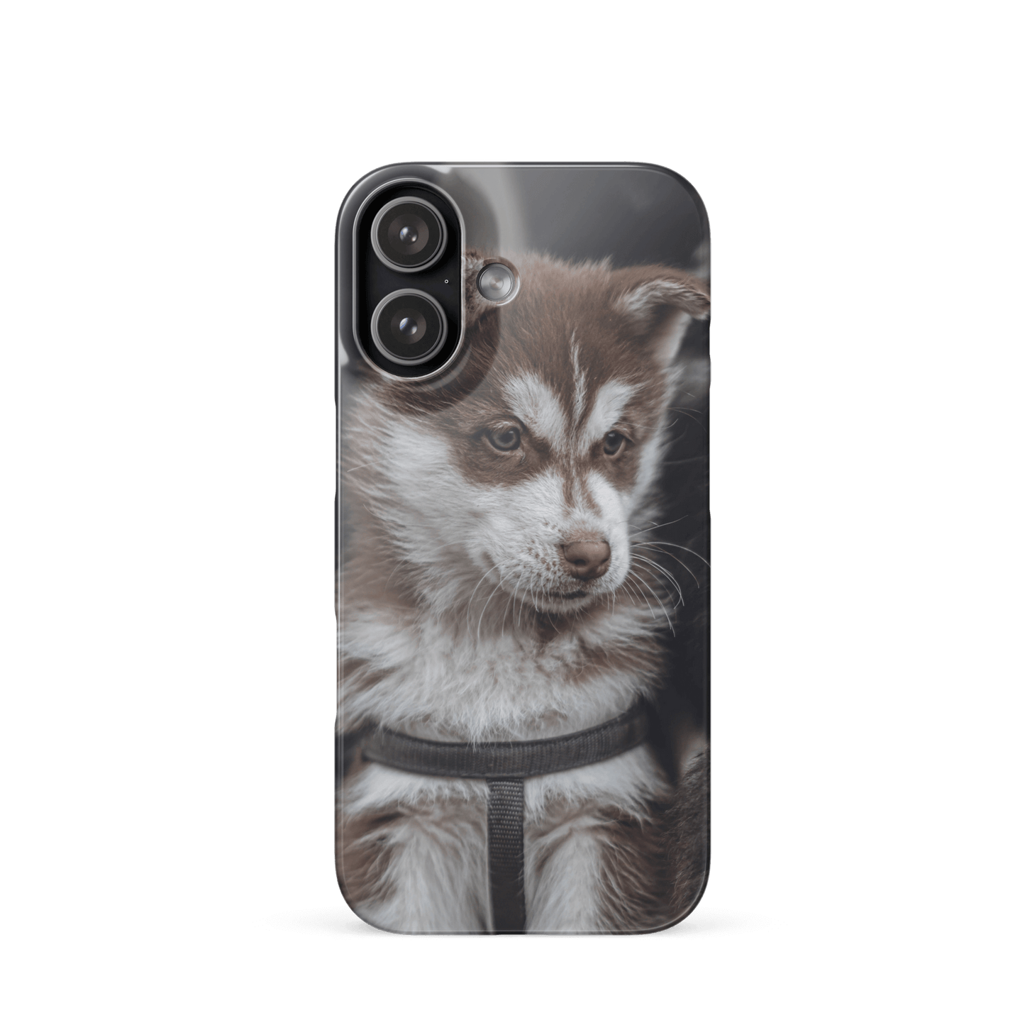 Custom iPhone Case with Your Pics: Snap Your Style featuring a cute dog design.