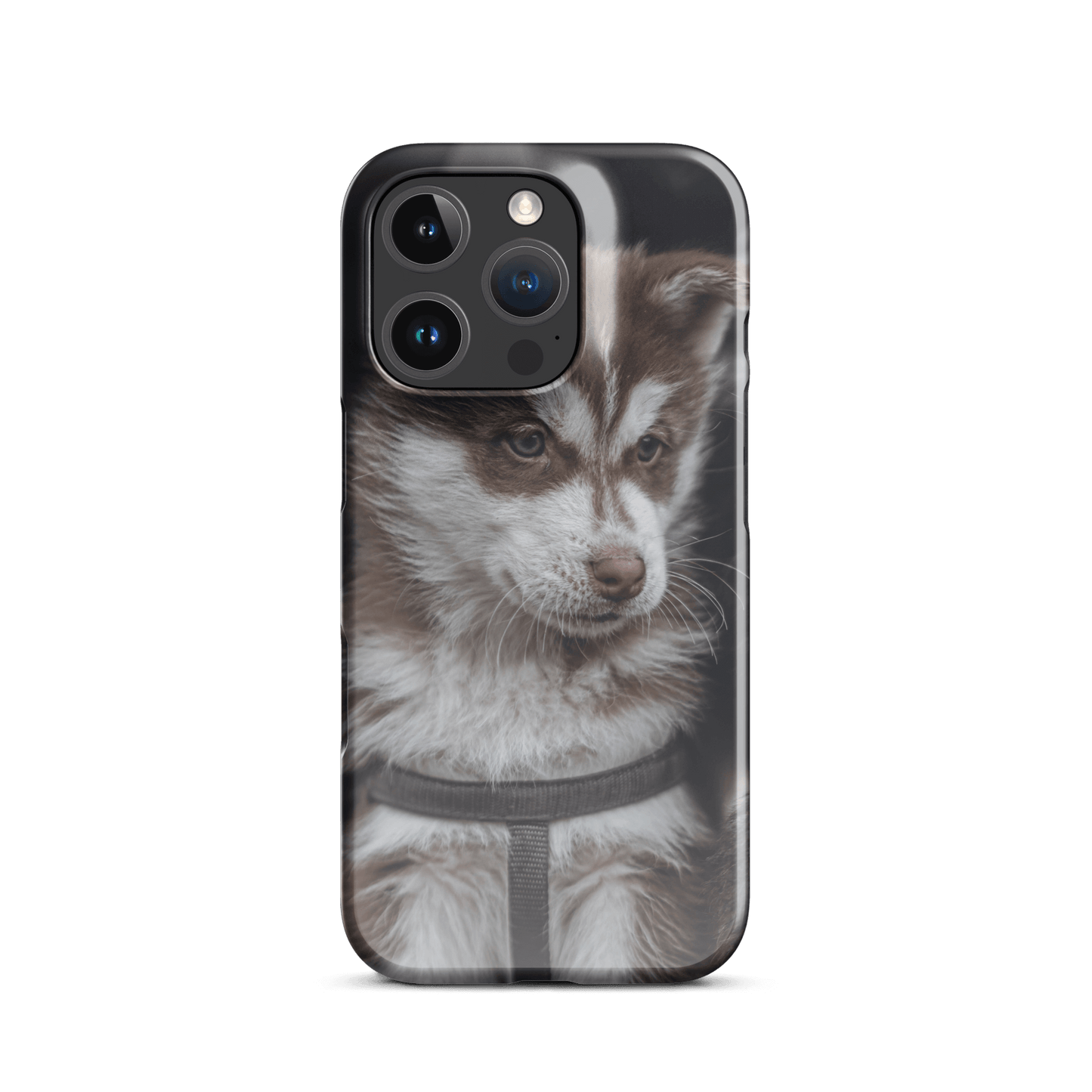 Custom iPhone Case with Your Pics: Snap Your Style featuring a cute dog photo.