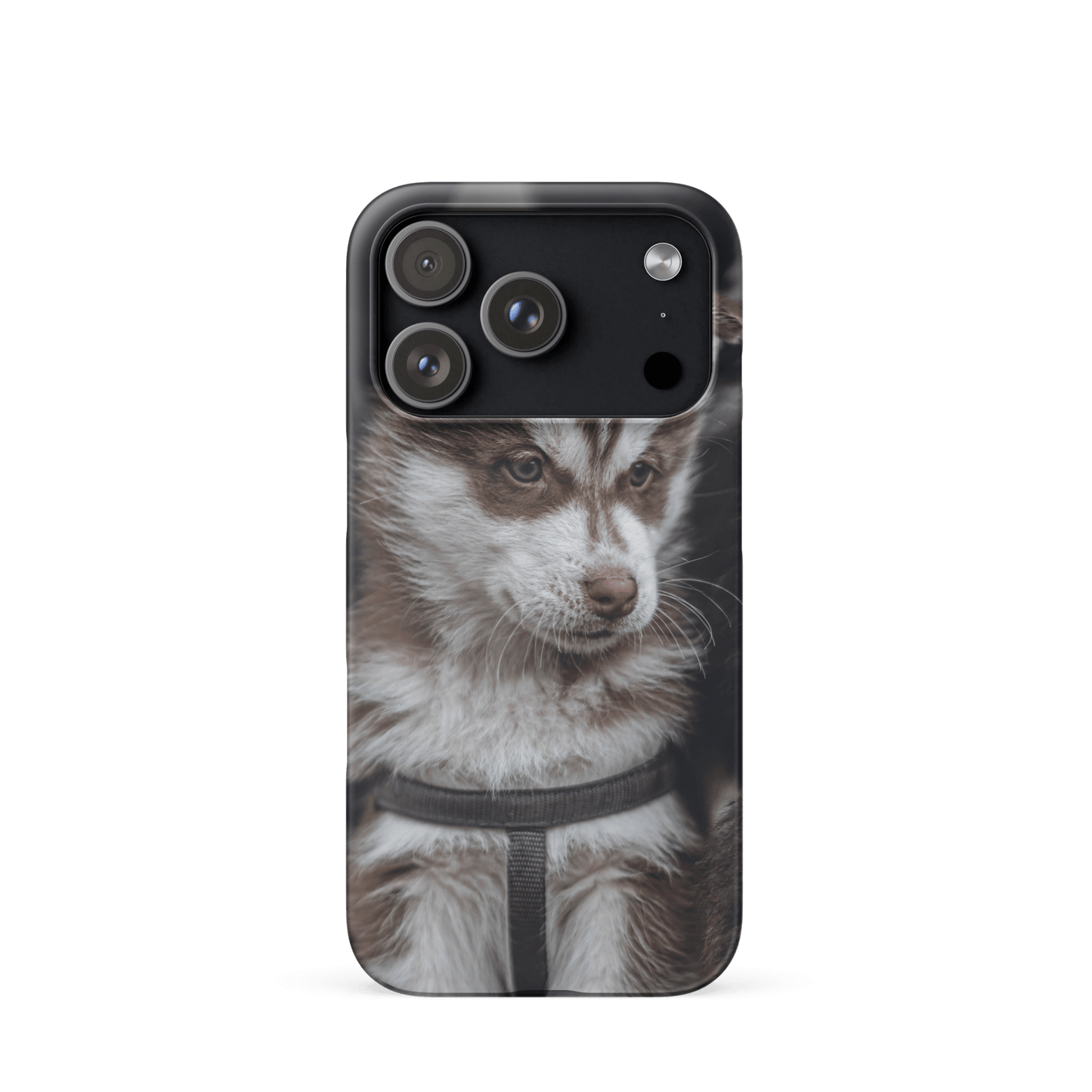 Custom iPhone Case with Your Pics: Snap Your Style featuring a cute dog photo.