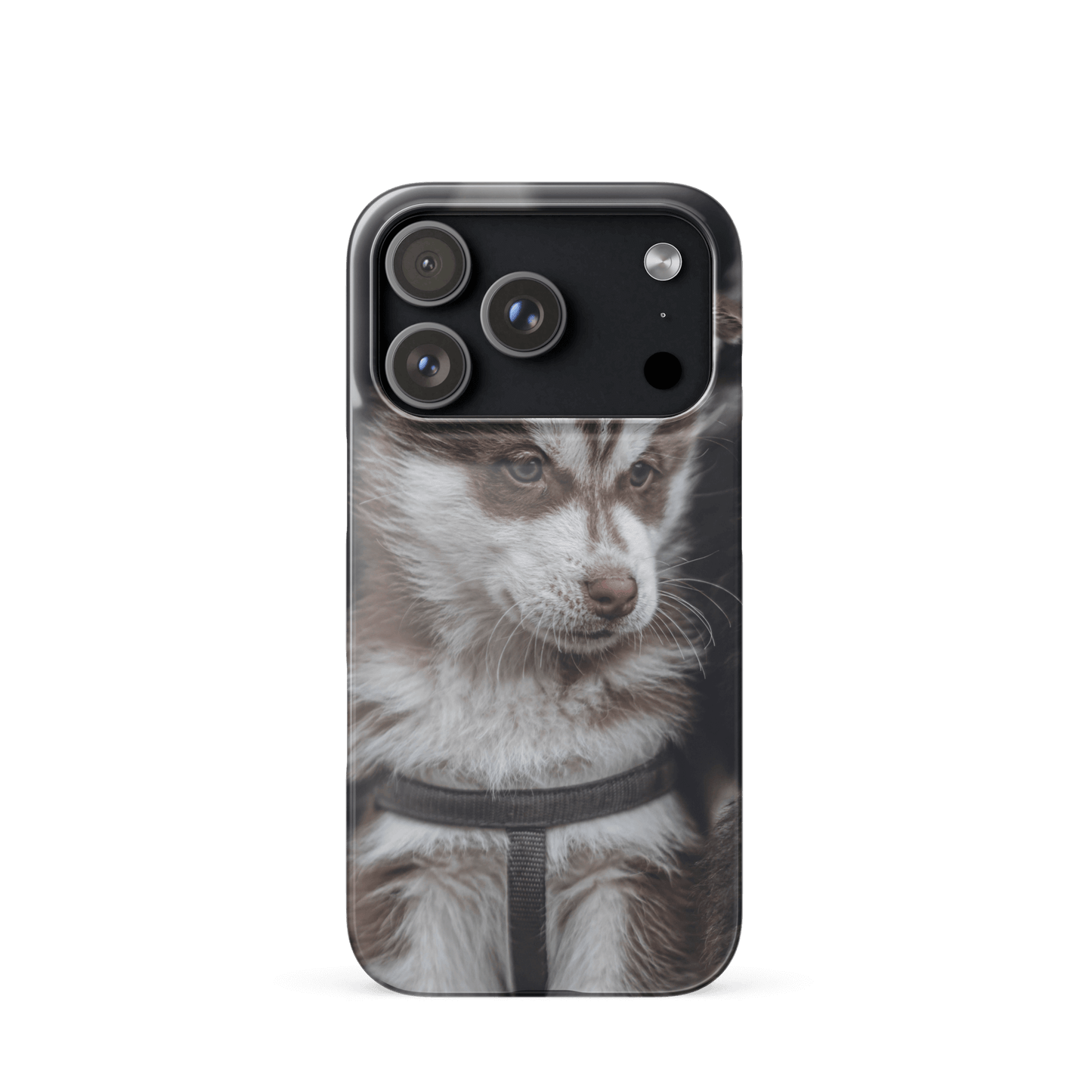 Custom iPhone Case with Your Pics: Snap Your Style featuring a dog's portrait for personalized protection.