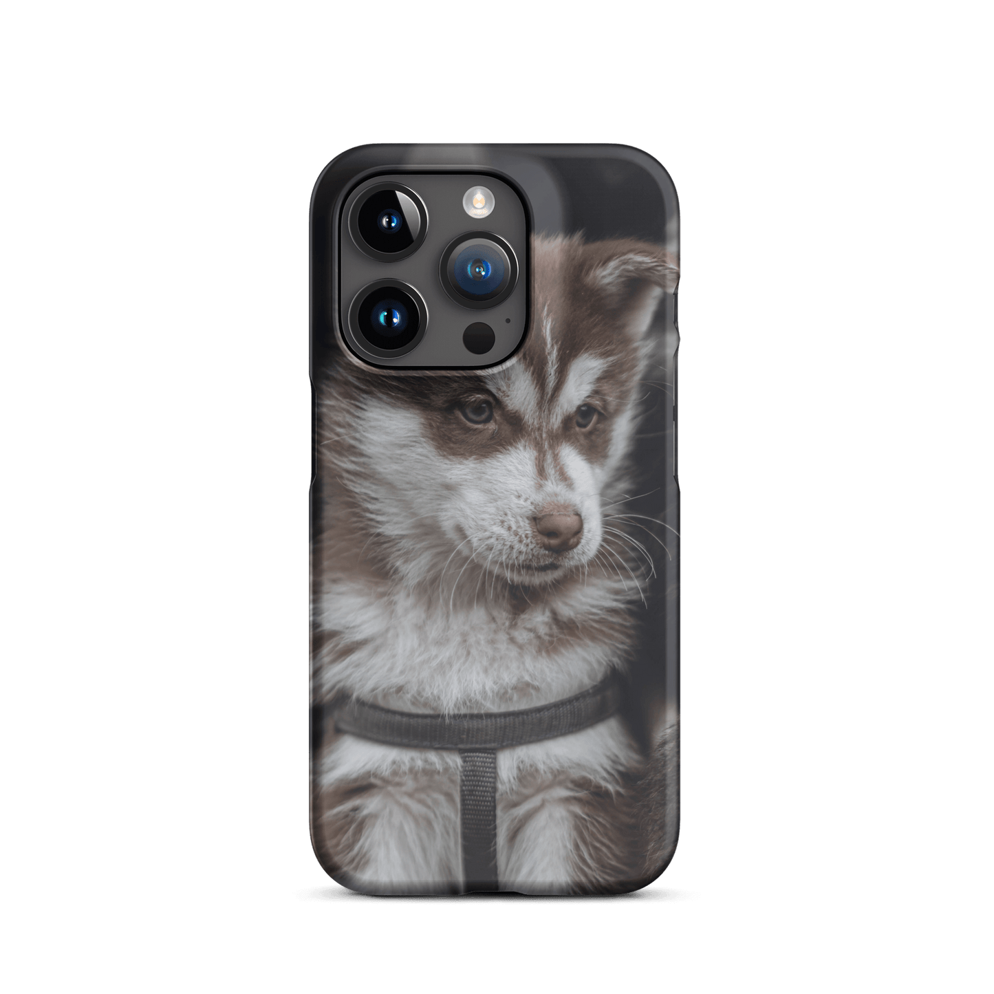 Custom iPhone Case with Your Pics: Snap Your Style featuring a cute husky puppy.