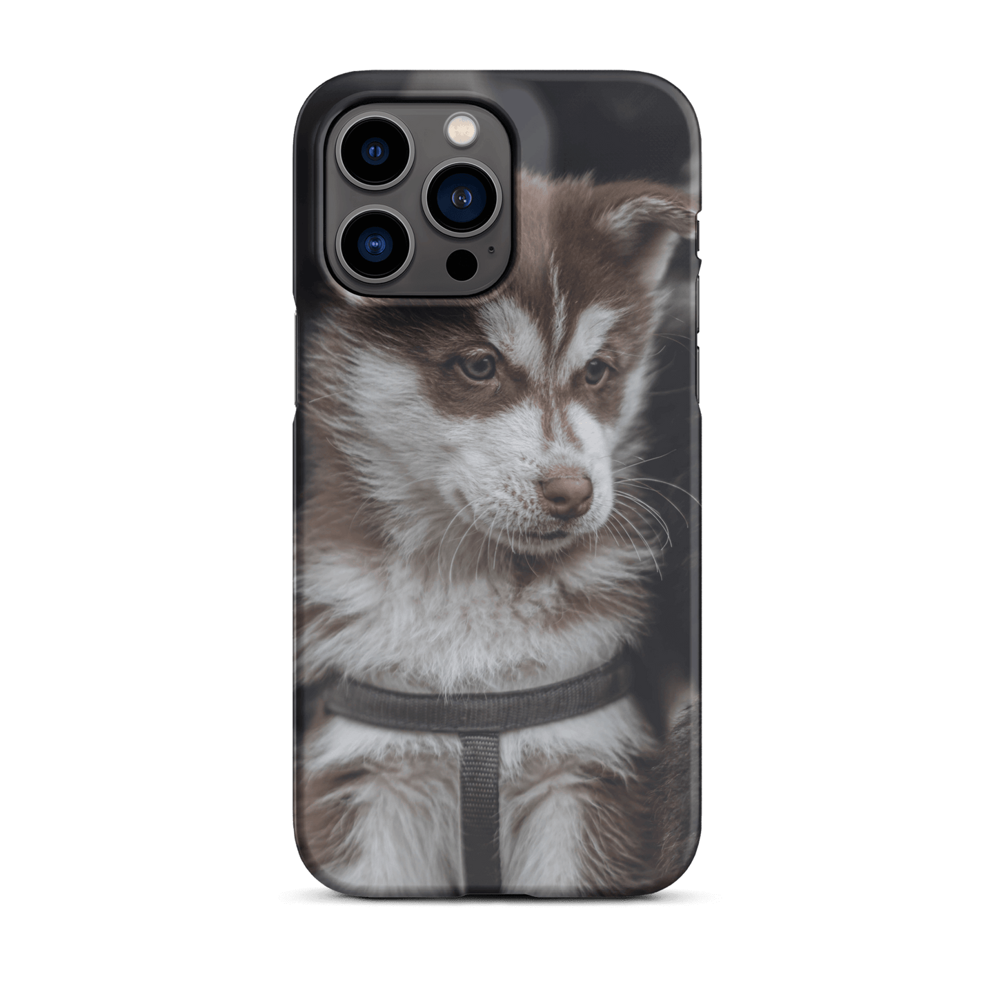 Custom iPhone Case with Your Pics: Snap Your Style featuring a cute dog image for pet lovers.